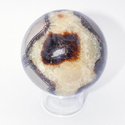 Black Septarian Sphere - AAA Premium Quality