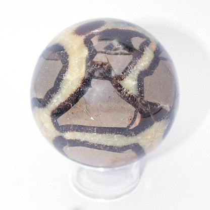 Black Septarian Sphere - AAA Premium Quality