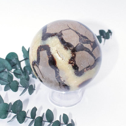 Black Septarian Sphere - AAA Premium Quality