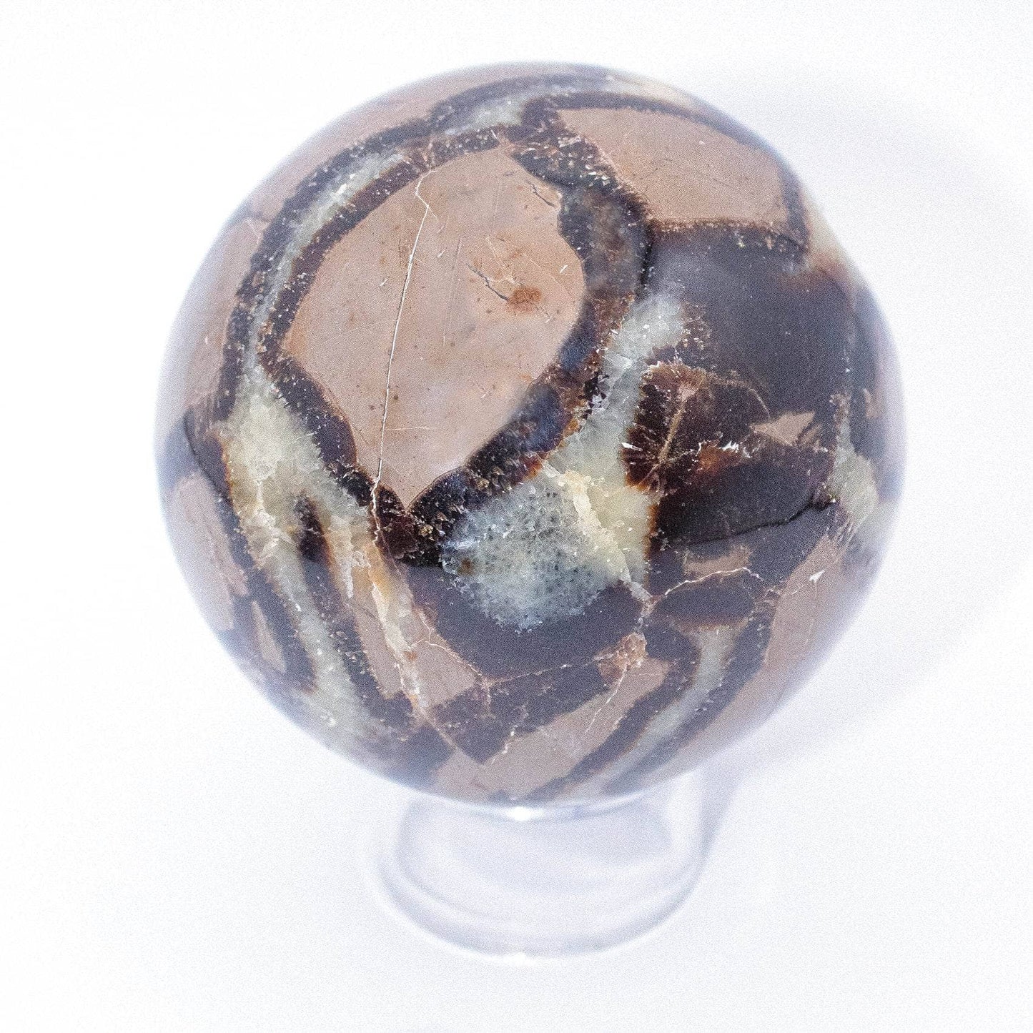 Black Septarian Sphere - AAA Premium Quality