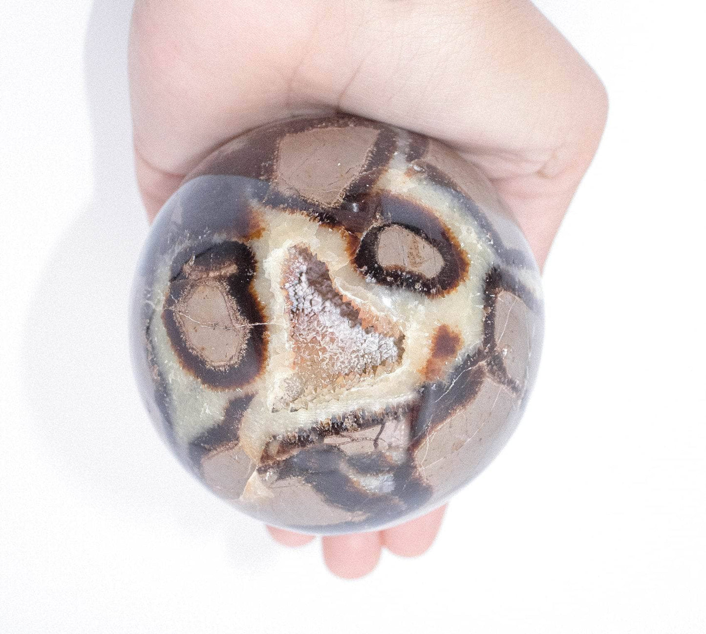 Black Septarian Sphere - AAA Premium Quality