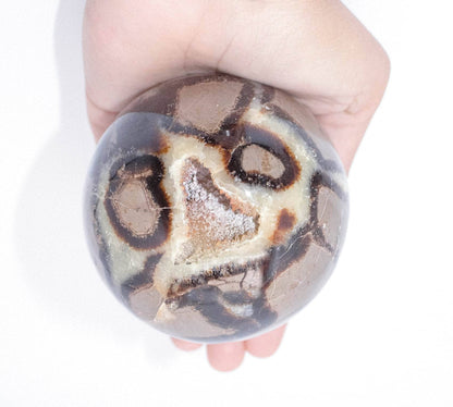 Black Septarian Sphere - AAA Premium Quality