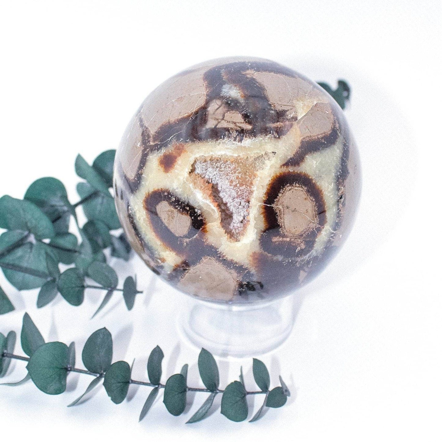 Black Septarian Sphere - AAA Premium Quality