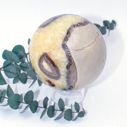 Black Septarian Sphere - AAA Premium Quality