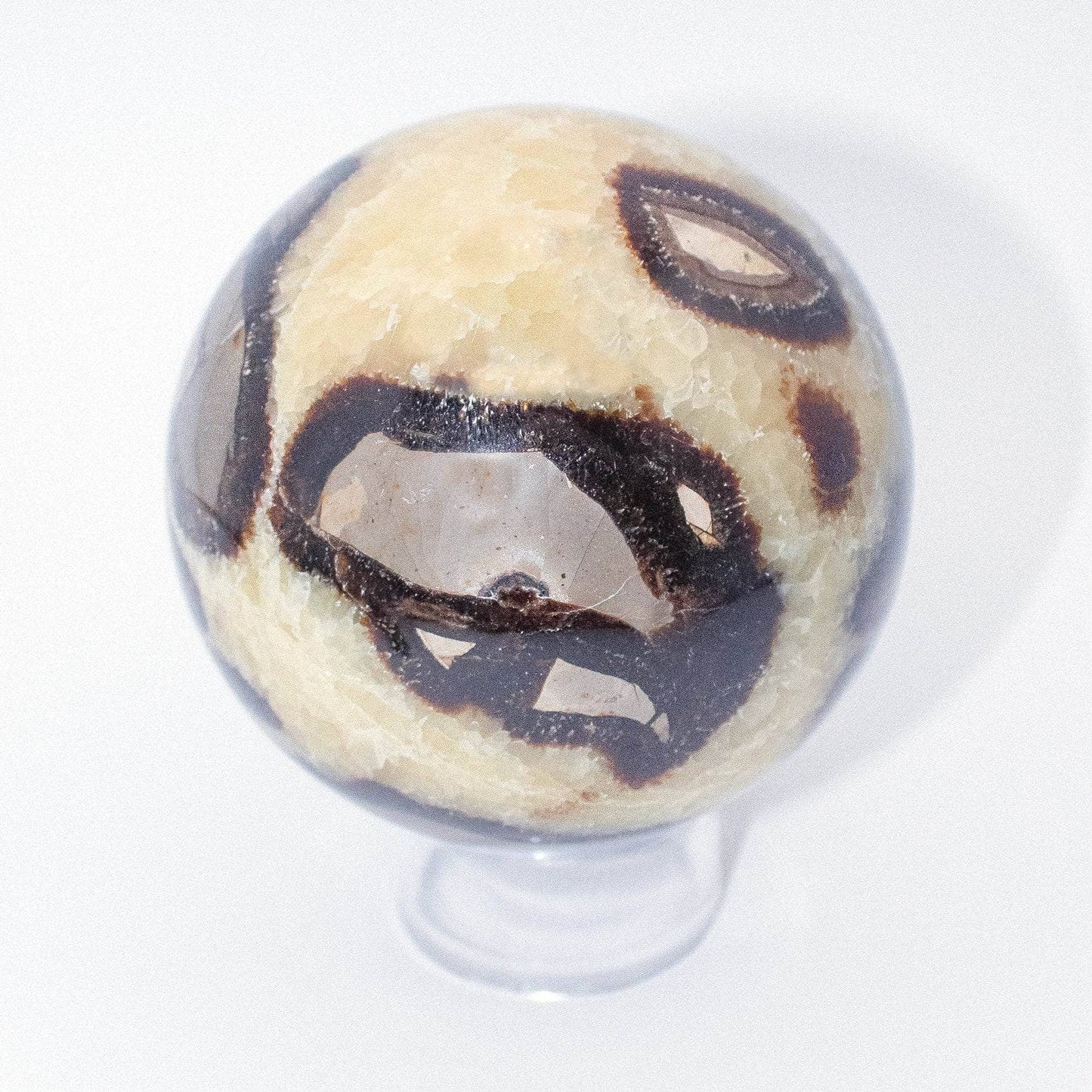 Black Septarian Sphere - AAA Premium Quality