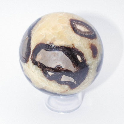 Black Septarian Sphere - AAA Premium Quality