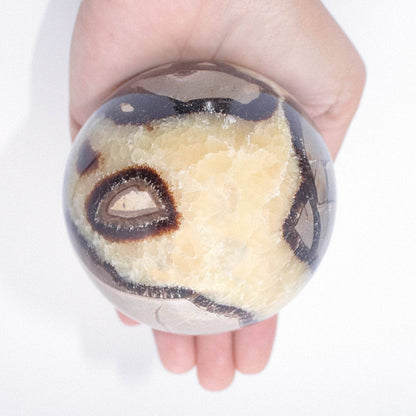 Black Septarian Sphere - AAA Premium Quality