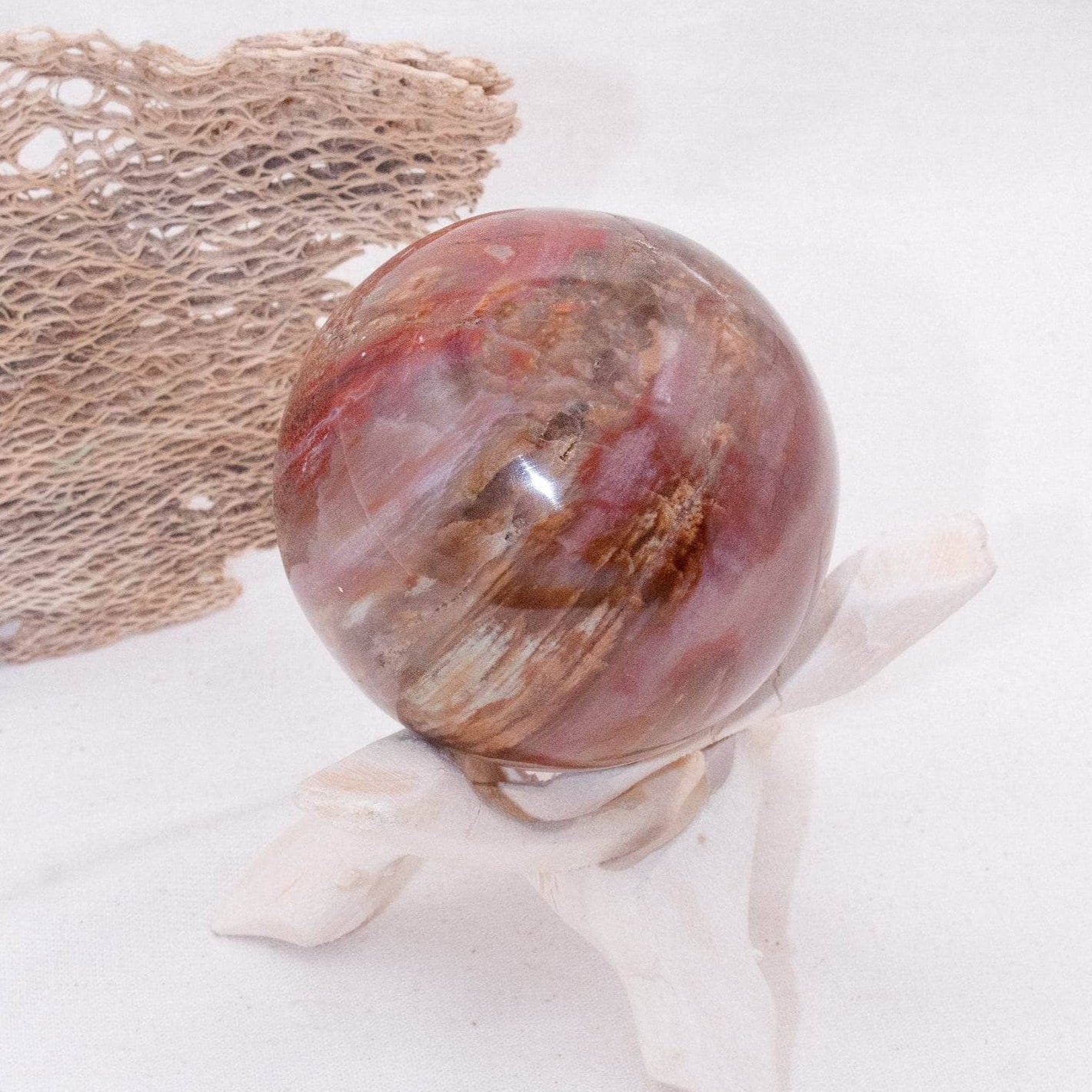 Petrified Wood Sphere - AAA Premium Quality