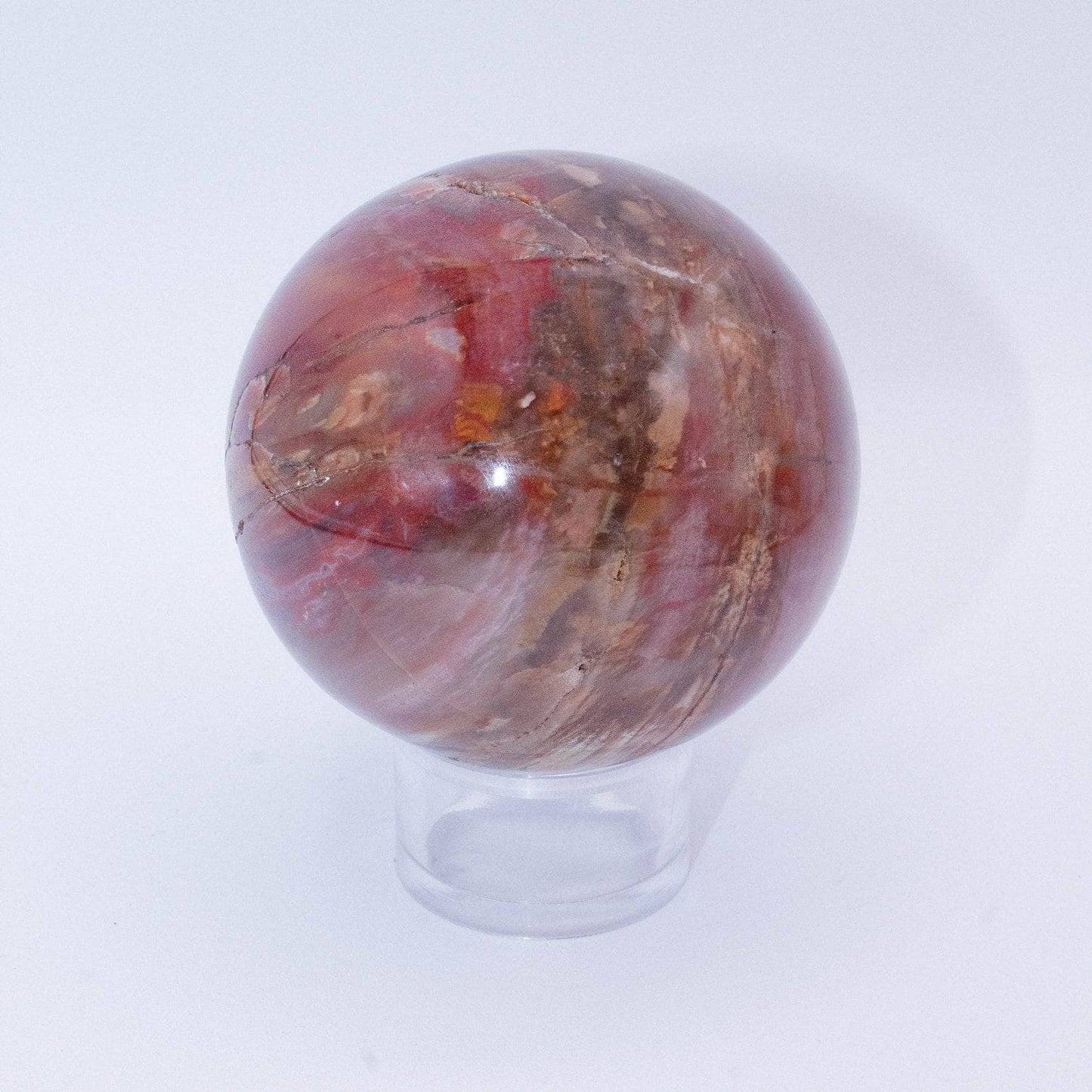 Petrified Wood Sphere - AAA Premium Quality