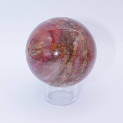 Petrified Wood Sphere - AAA Premium Quality