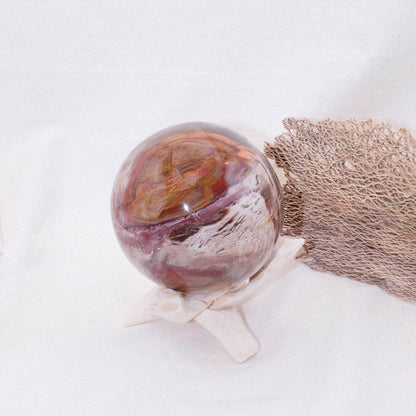 Petrified Wood Sphere - AAA Premium Quality