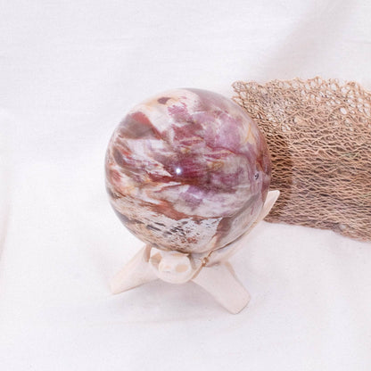 Petrified Wood Sphere - AAA Premium Quality