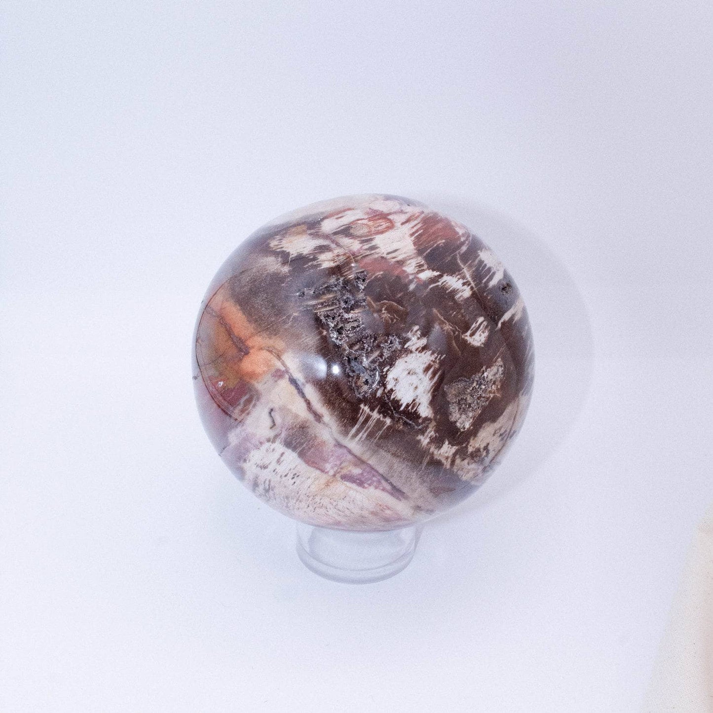 Petrified Wood Sphere - AAA Premium Quality