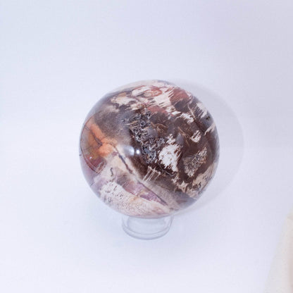 Petrified Wood Sphere - AAA Premium Quality