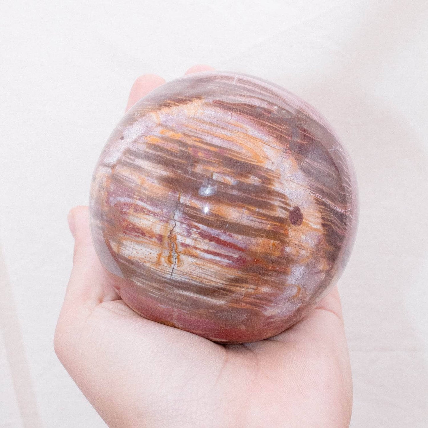 Petrified Wood Sphere - AAA Premium Quality