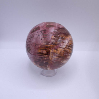 Petrified Wood Sphere - AAA Premium Quality