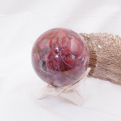 Petrified Wood Sphere - AAA Premium Quality