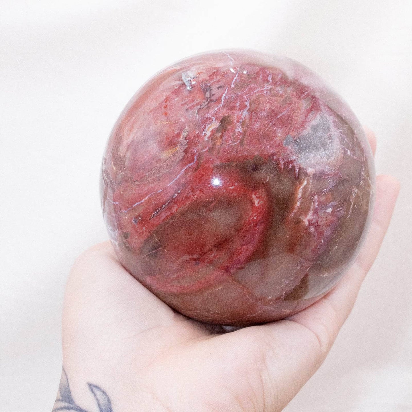 Petrified Wood Sphere - AAA Premium Quality