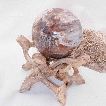 Petrified Wood Sphere - AAA Premium Quality