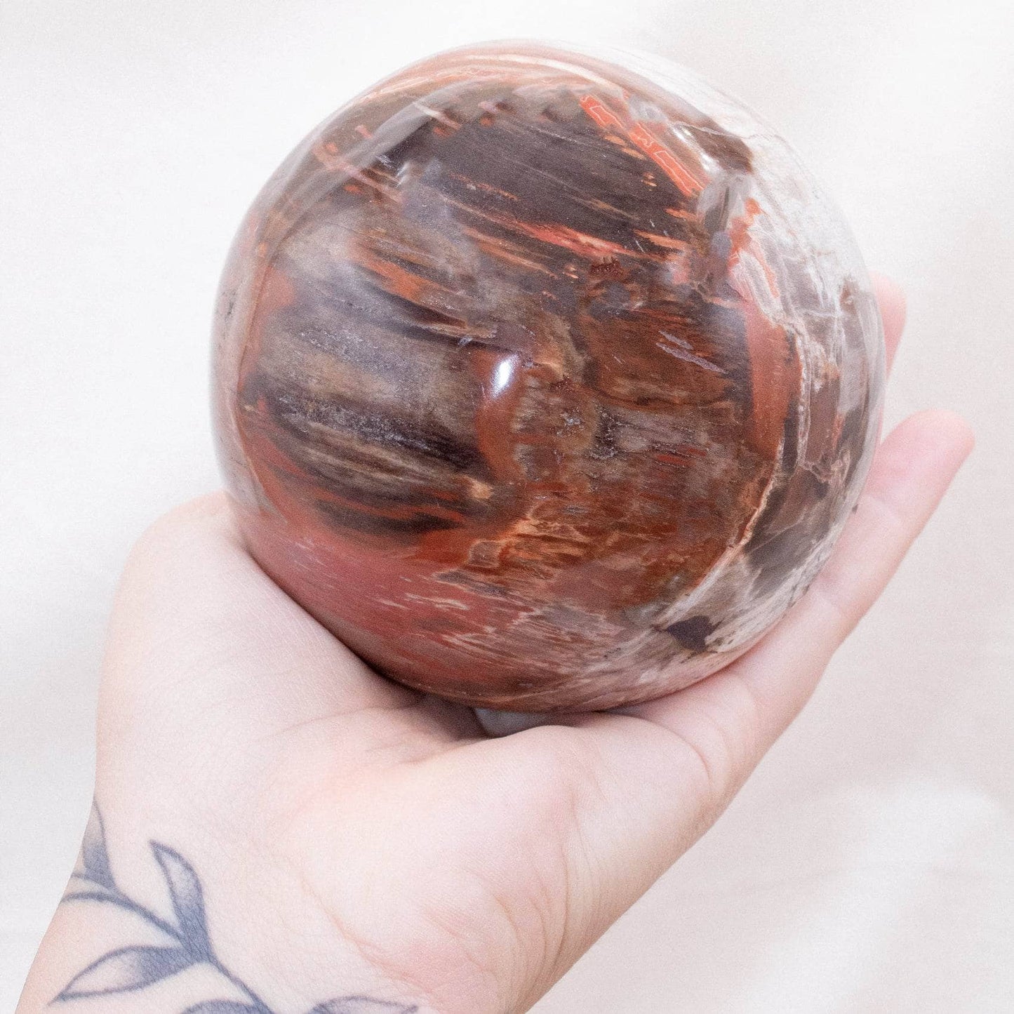 Petrified Wood Sphere - AAA Premium Quality