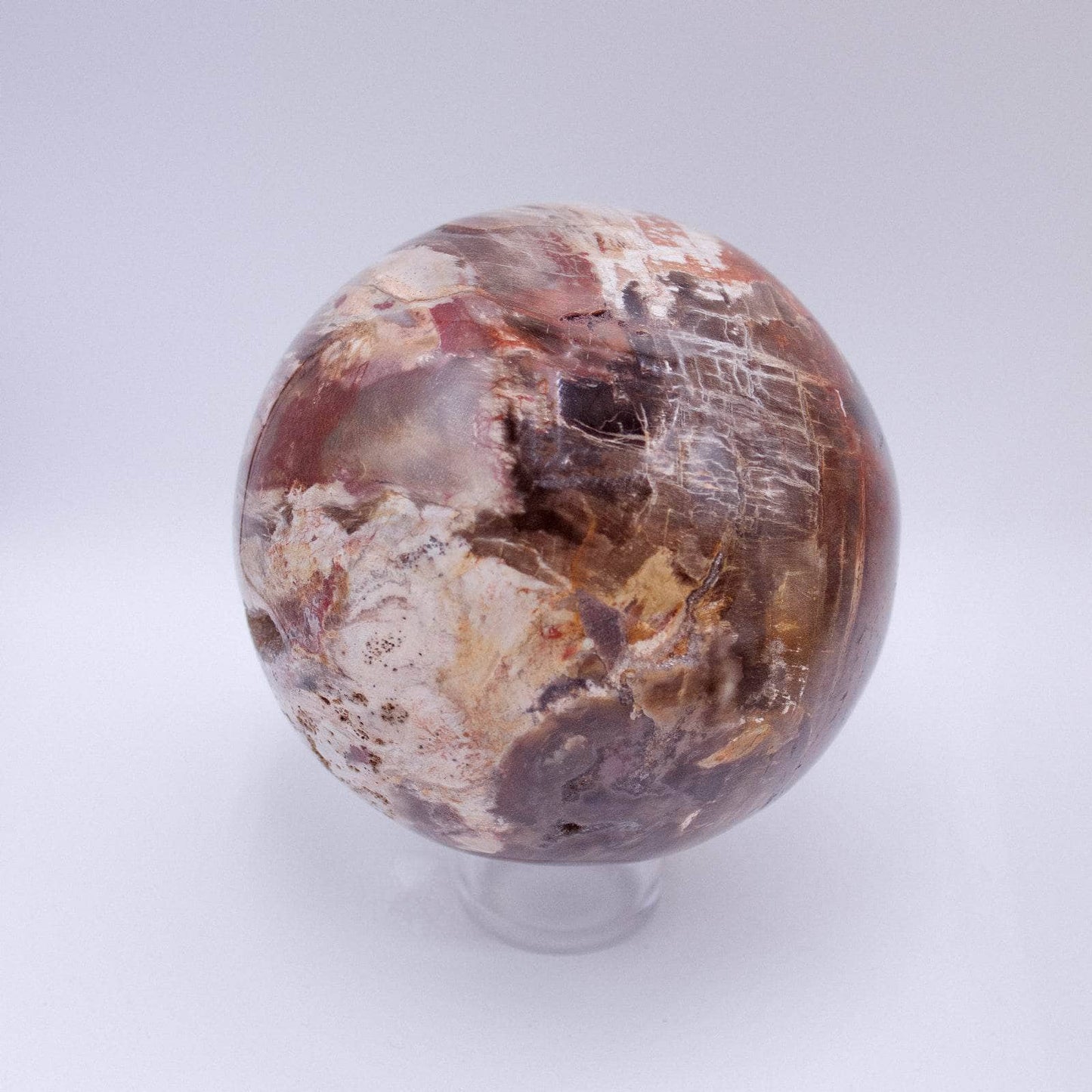 Petrified Wood Sphere - AAA Premium Quality