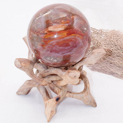 Petrified Wood Sphere - AAA Premium Quality