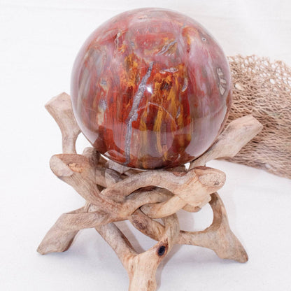 Petrified Wood Sphere - AAA Premium Quality