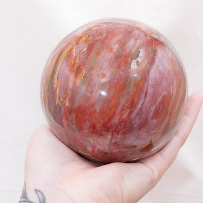 Petrified Wood Sphere - AAA Premium Quality