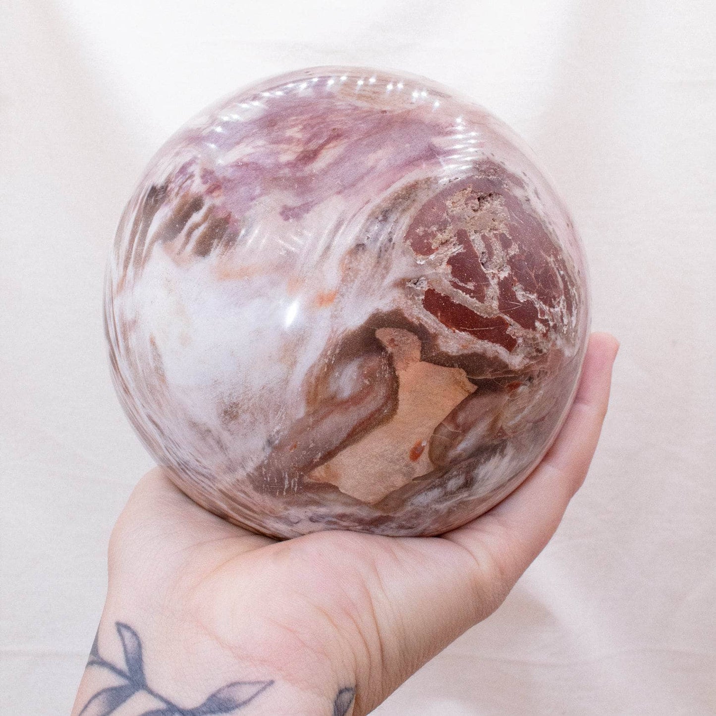 Petrified Wood Sphere - AAA Premium Quality
