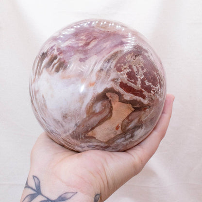 Petrified Wood Sphere - AAA Premium Quality
