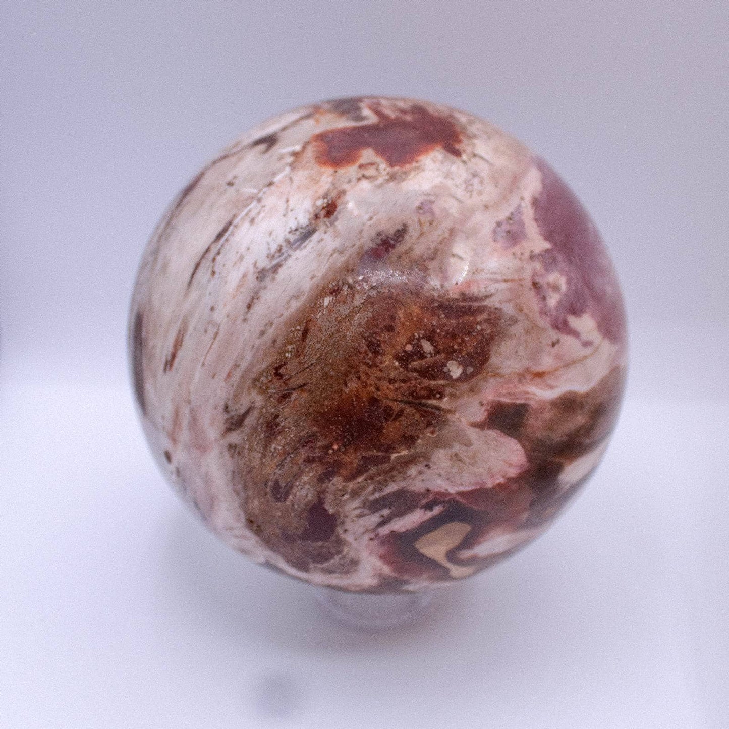 Petrified Wood Sphere - AAA Premium Quality