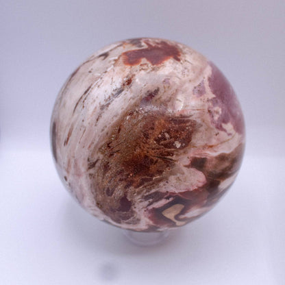 Petrified Wood Sphere - AAA Premium Quality