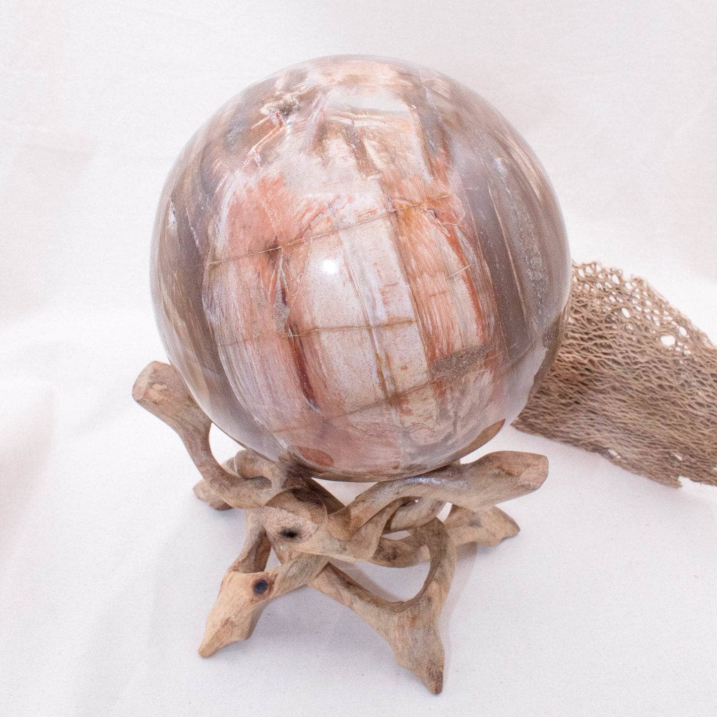 Petrified Wood Sphere - AAA Premium Quality