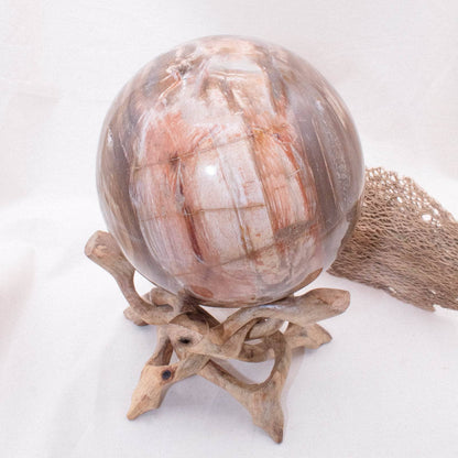 Petrified Wood Sphere - AAA Premium Quality