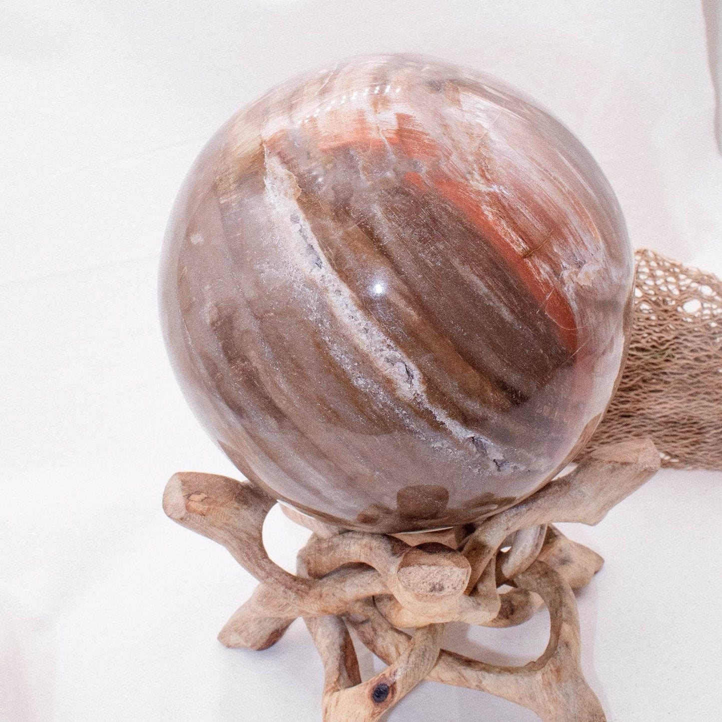 Petrified Wood Sphere - AAA Premium Quality