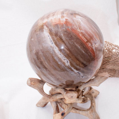 Petrified Wood Sphere - AAA Premium Quality