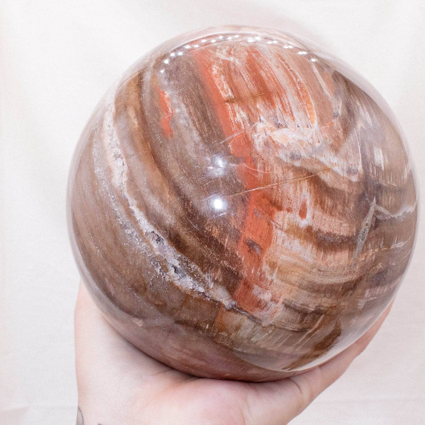 Petrified Wood Sphere - AAA Premium Quality