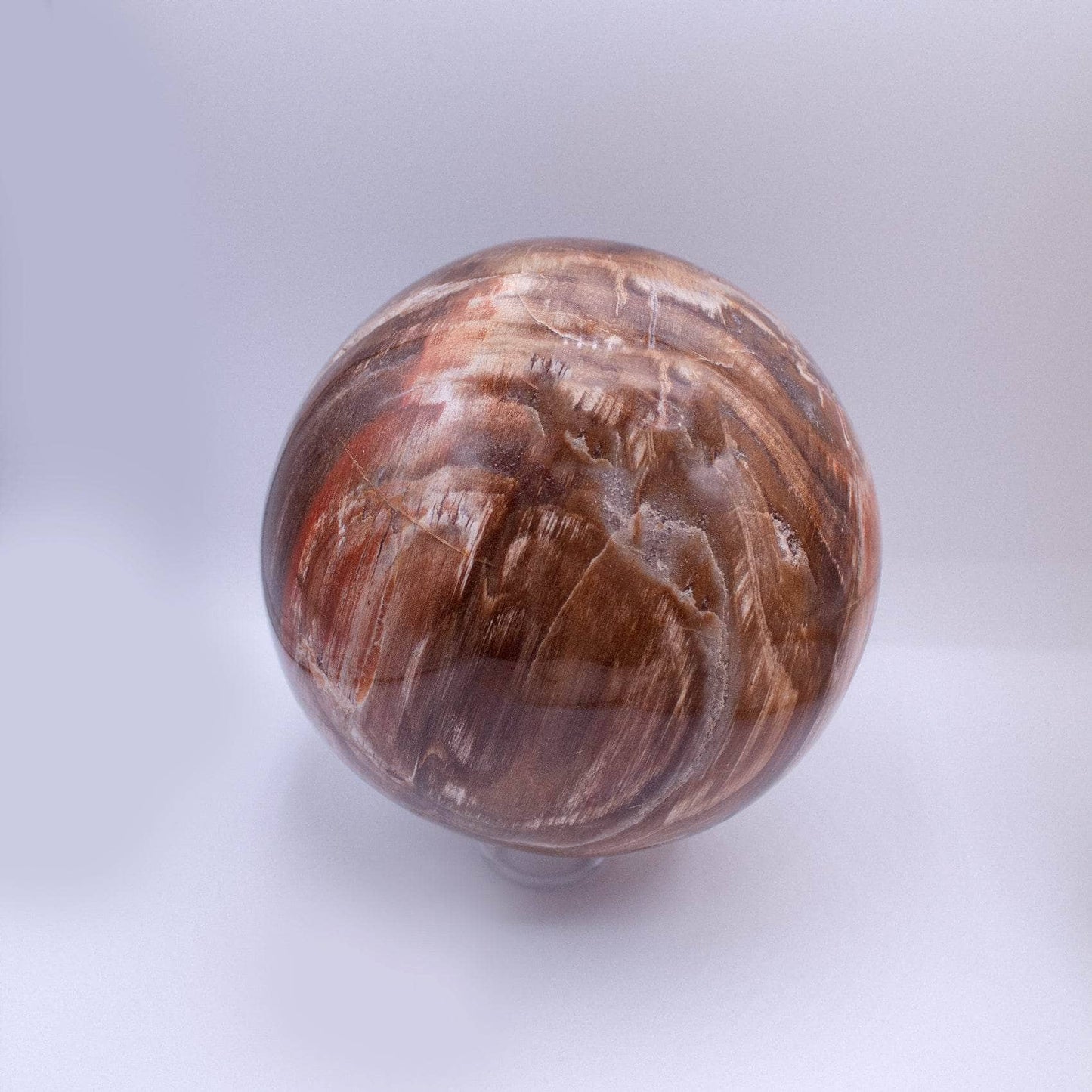 Petrified Wood Sphere - AAA Premium Quality