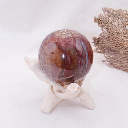 Petrified Wood Sphere - AAA Premium Quality