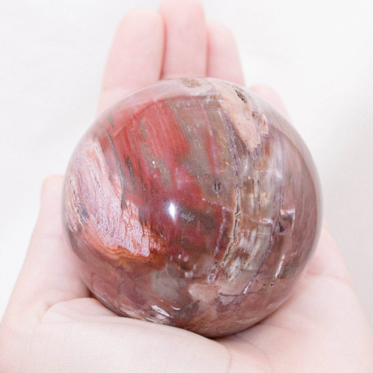 Petrified Wood Sphere - AAA Premium Quality