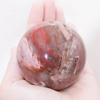 Petrified Wood Sphere - AAA Premium Quality