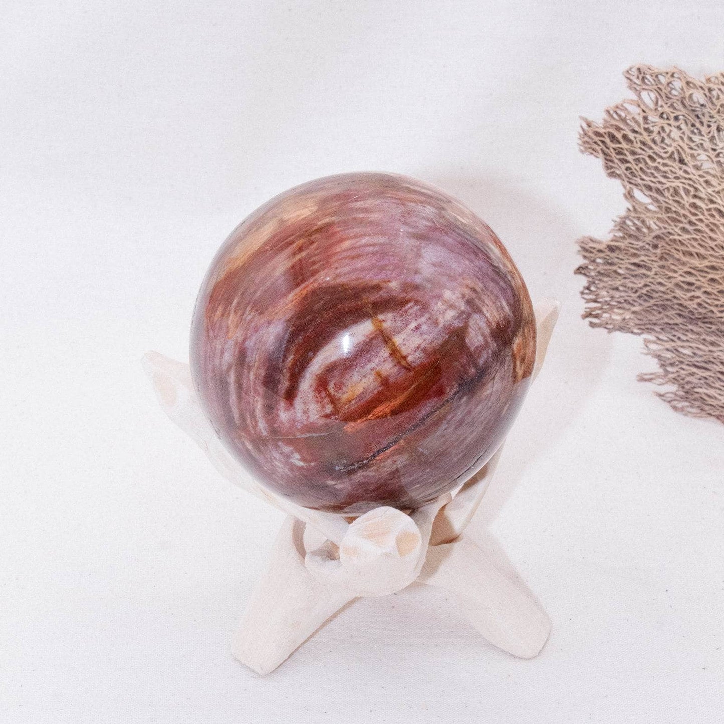 Petrified Wood Sphere - AAA Premium Quality