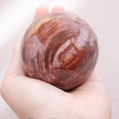 Petrified Wood Sphere - AAA Premium Quality
