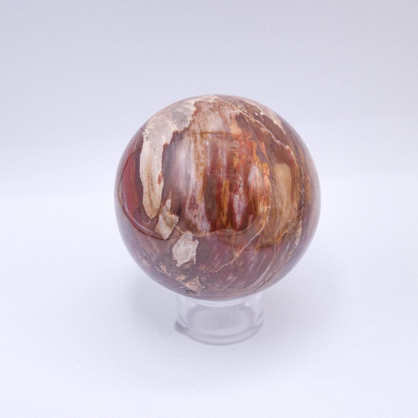Petrified Wood Sphere - AAA Premium Quality
