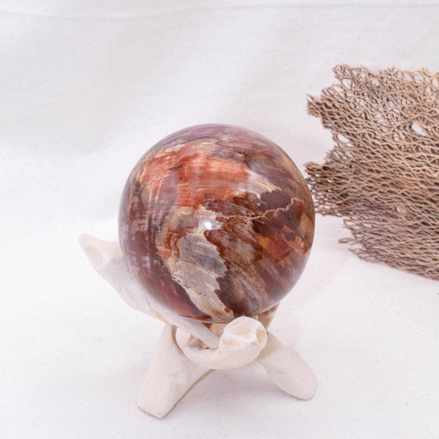 Petrified Wood Sphere - AAA Premium Quality