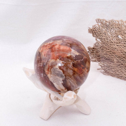 Petrified Wood Sphere - AAA Premium Quality