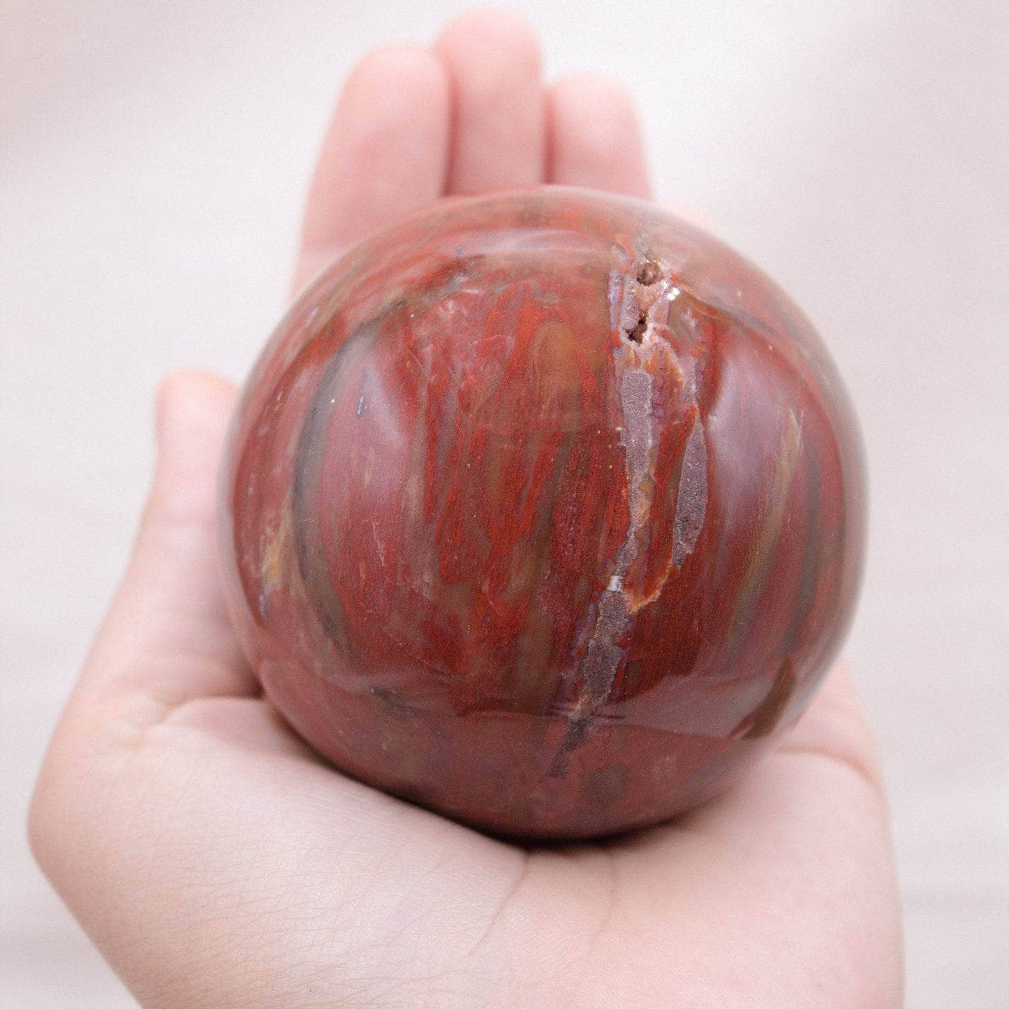 Petrified Wood Sphere - AAA Premium Quality