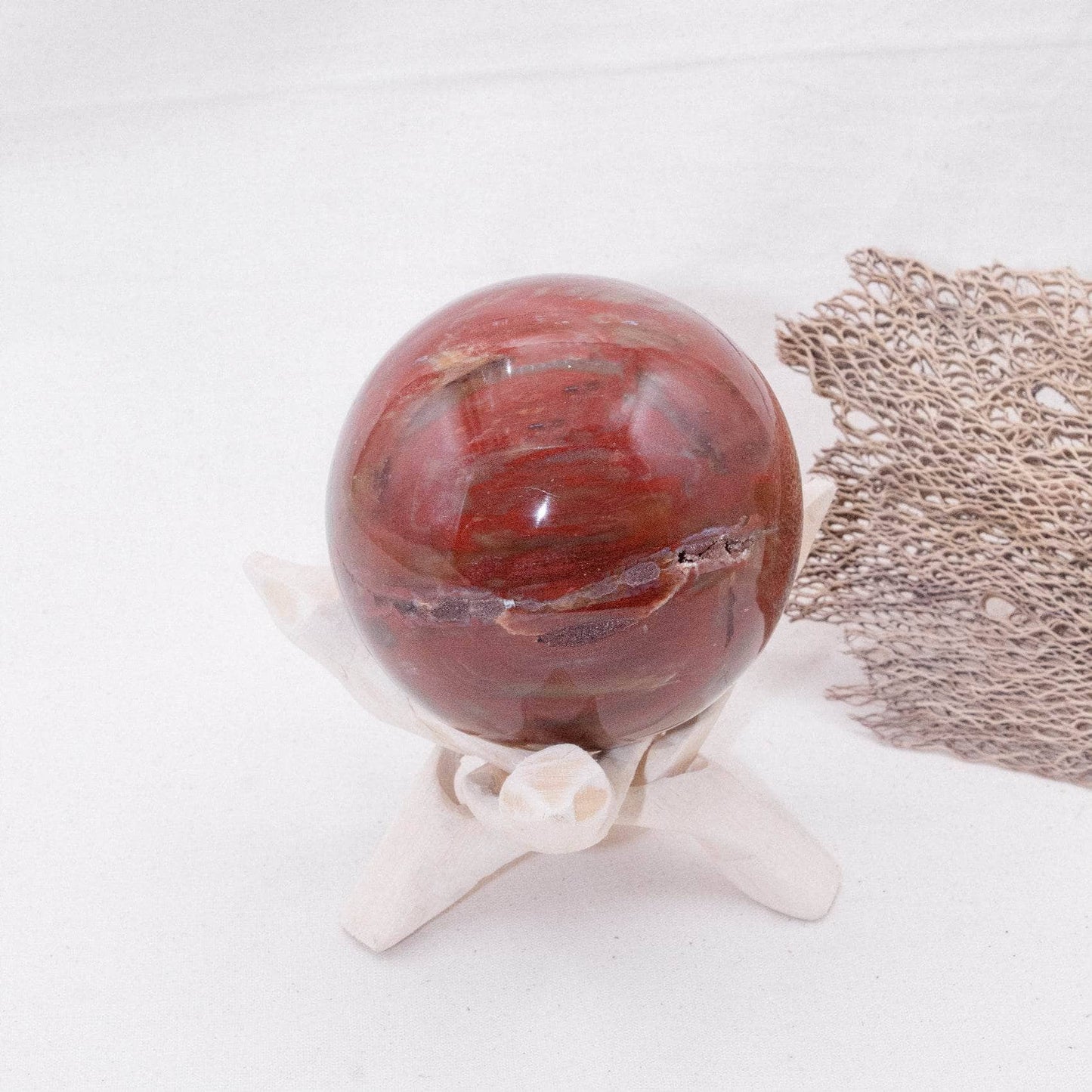 Petrified Wood Sphere - AAA Premium Quality