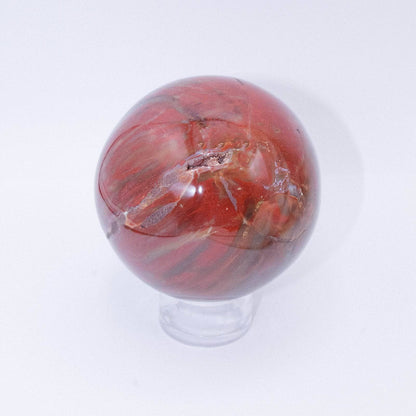 Petrified Wood Sphere - AAA Premium Quality