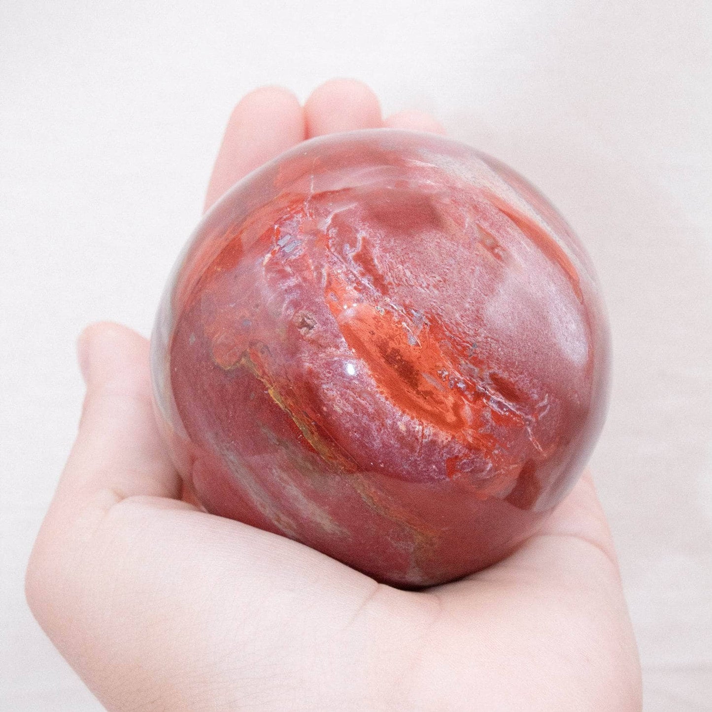 Petrified Wood Sphere - AAA Premium Quality